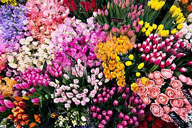 B站发布2021第二季度财报 总营收达44.9亿元