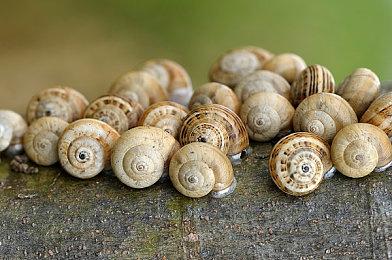 Valve发布Steam Deck高温游玩警告